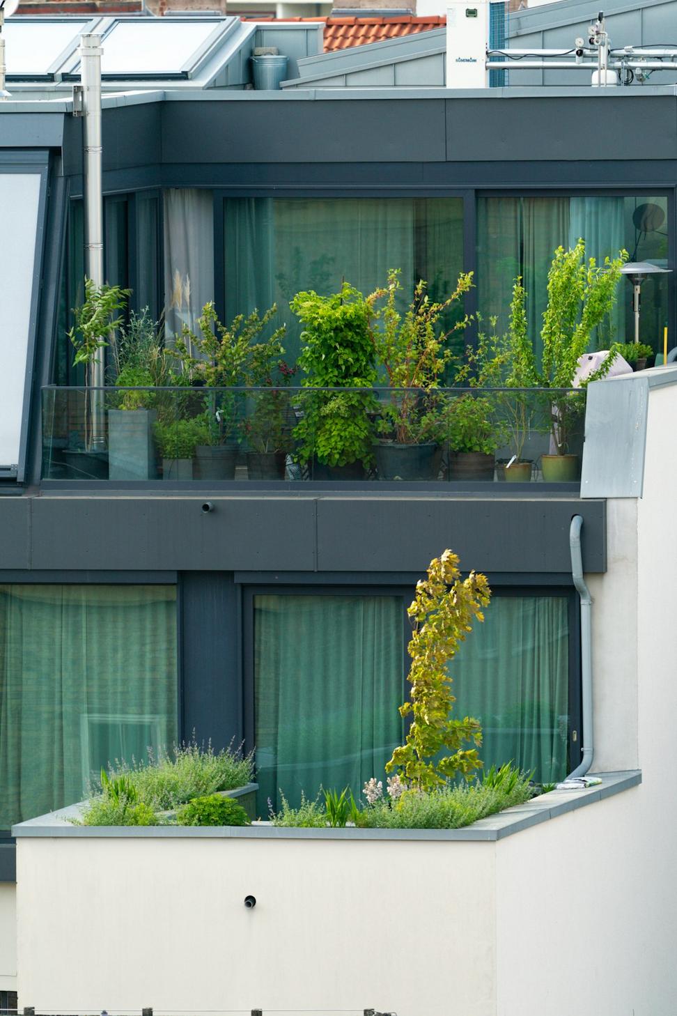 Sustainable Design